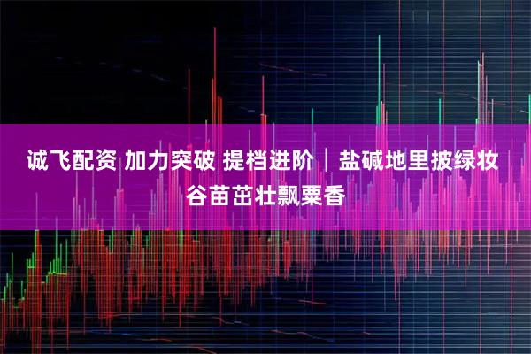 诚飞配资 加力突破 提档进阶│盐碱地里披绿妆 谷苗茁壮飘粟香