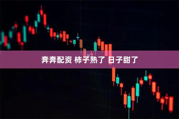 奔奔配资 柿子熟了 日子甜了