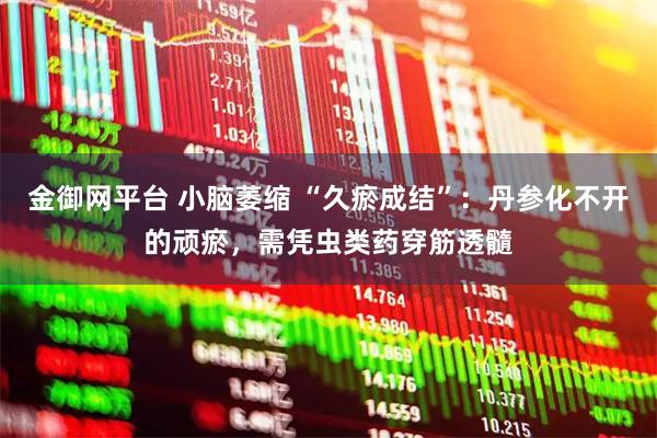 金御网平台 小脑萎缩 “久瘀成结”：丹参化不开的顽瘀，需凭虫类药穿筋透髓