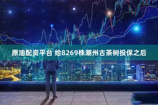 原油配资平台 给8269株潮州古茶树投保之后