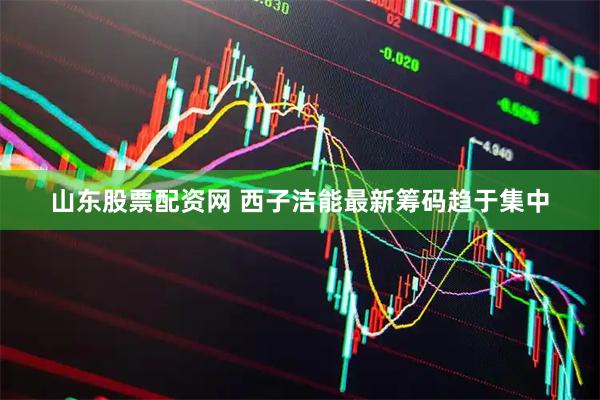 山东股票配资网 西子洁能最新筹码趋于集中