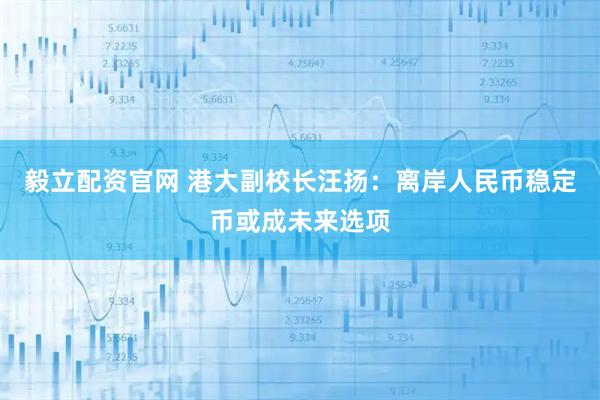 毅立配资官网 港大副校长汪扬：离岸人民币稳定币或成未来选项