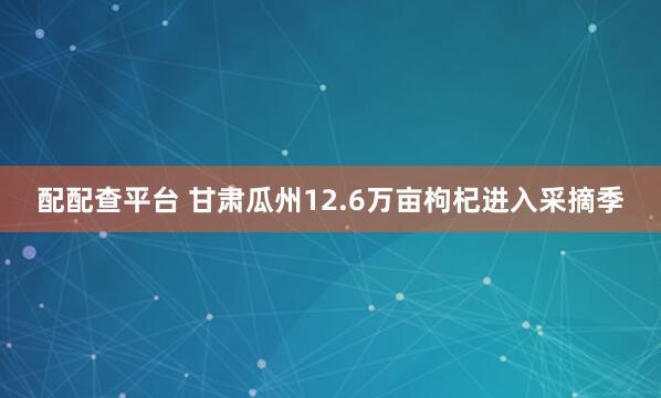配配查平台 甘肃瓜州12.6万亩枸杞进入采摘季