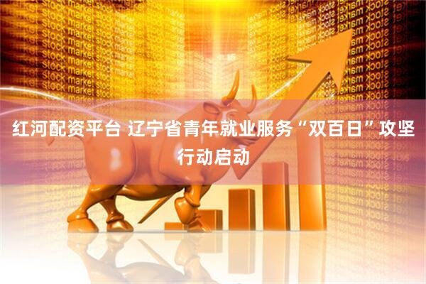 红河配资平台 辽宁省青年就业服务“双百日”攻坚行动启动